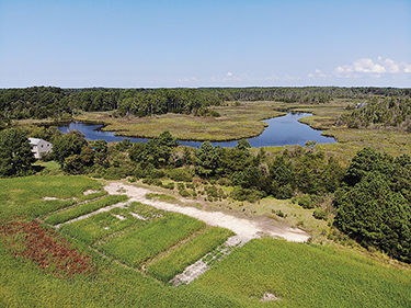 Saltwater intrusion on farmfields aerial